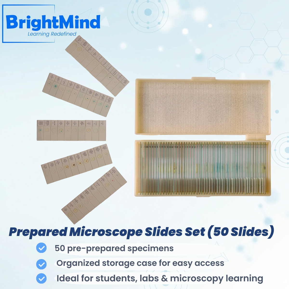 Prepared Microscope Slides Set
