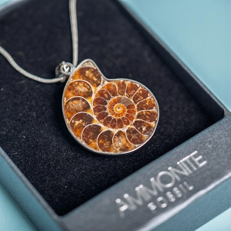 Fossil Ammonite Pendant