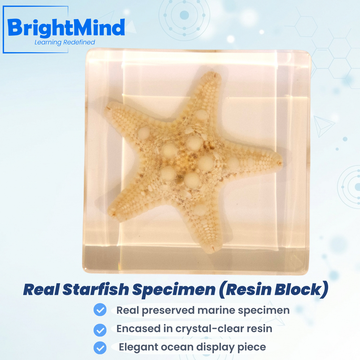 Starfish