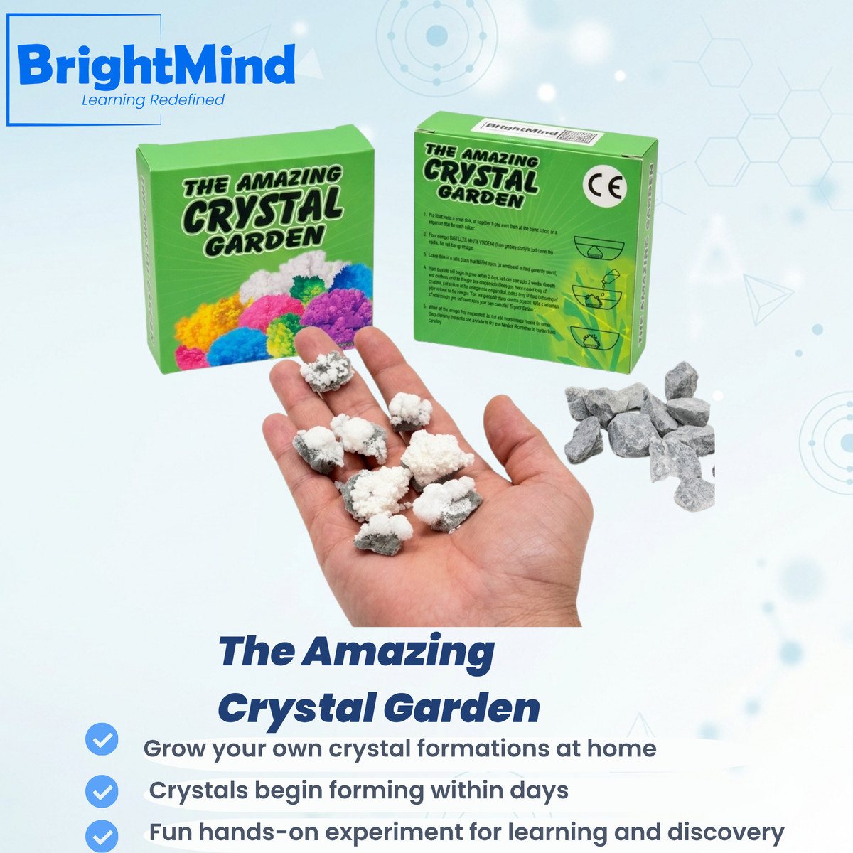 The Amazing  Crystal Garden