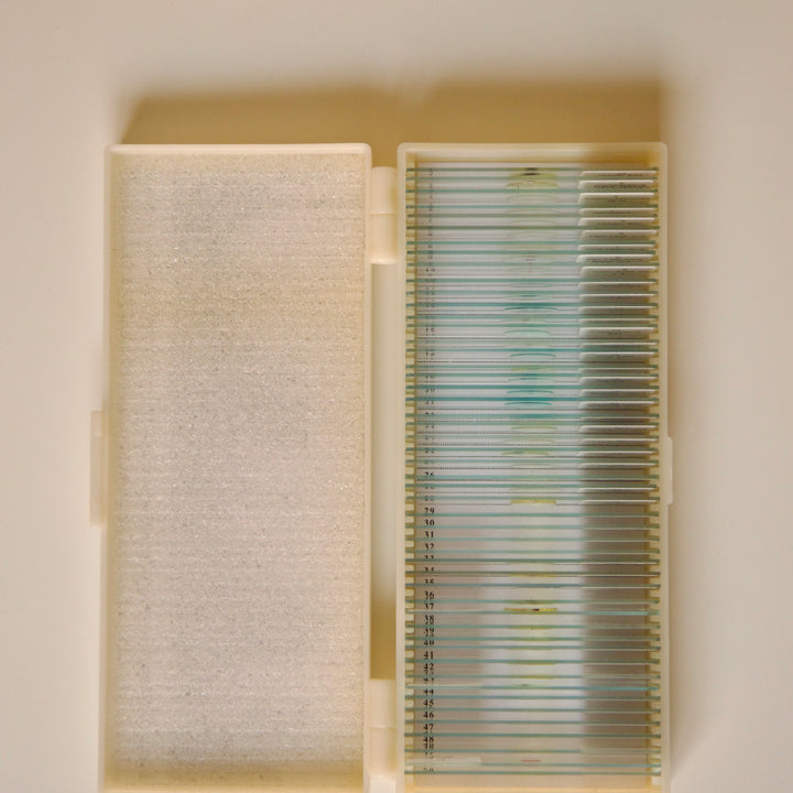 Prepared Microscope Slides Set