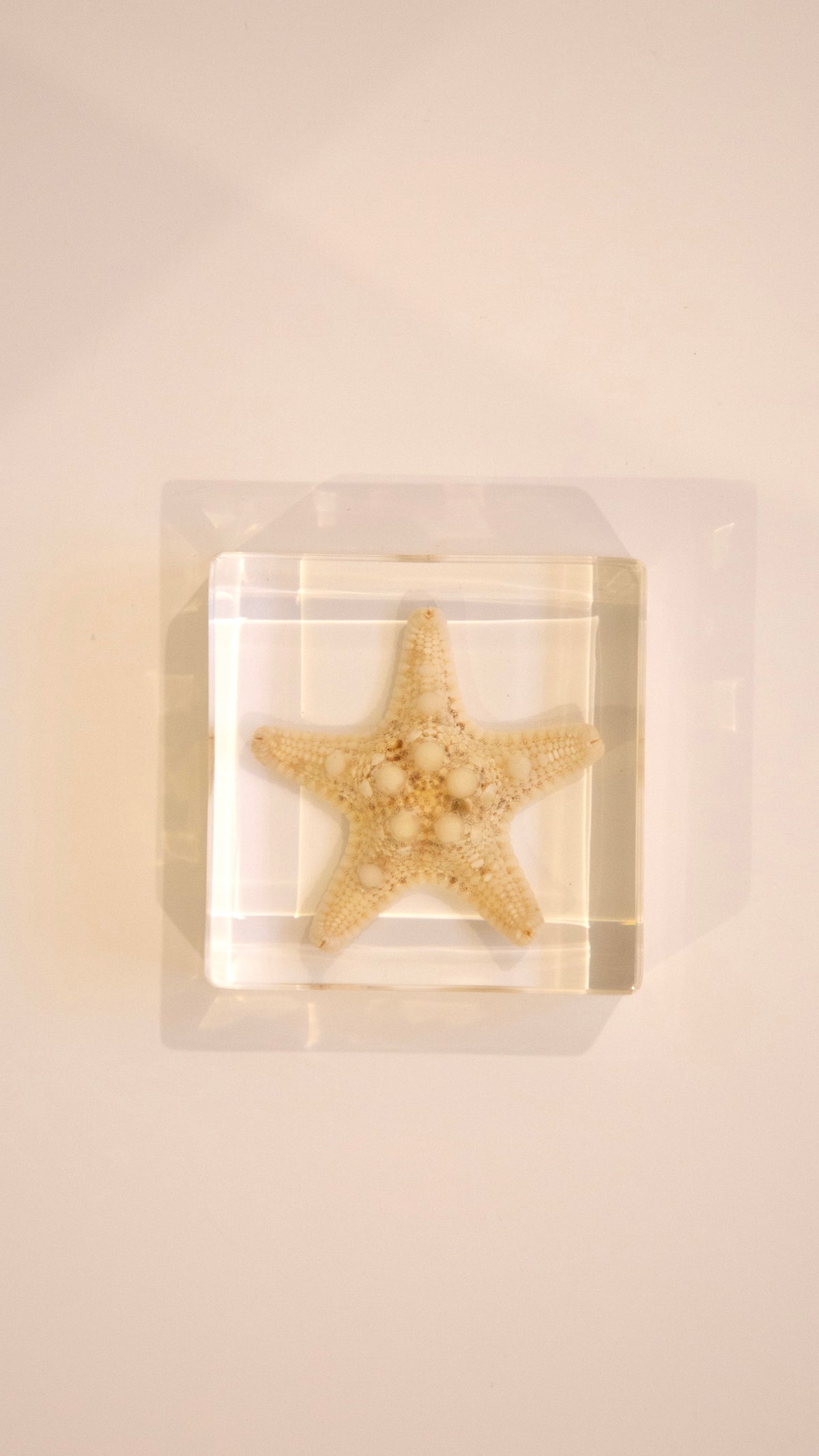 Starfish