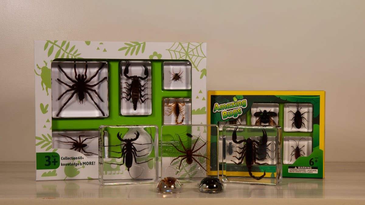 Black Scorpion