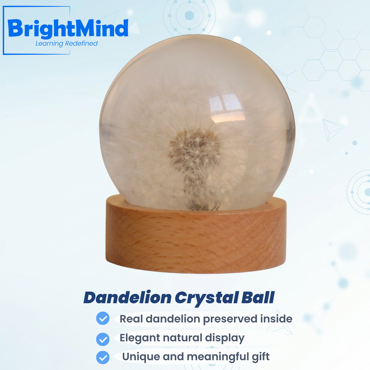 Dandelion Crystal Ball