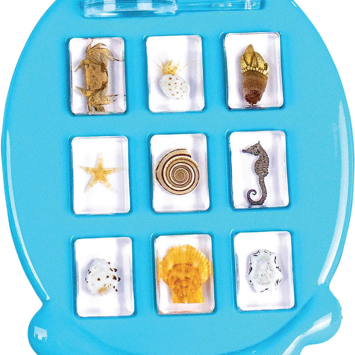 Ocean Fun Discovery Kit