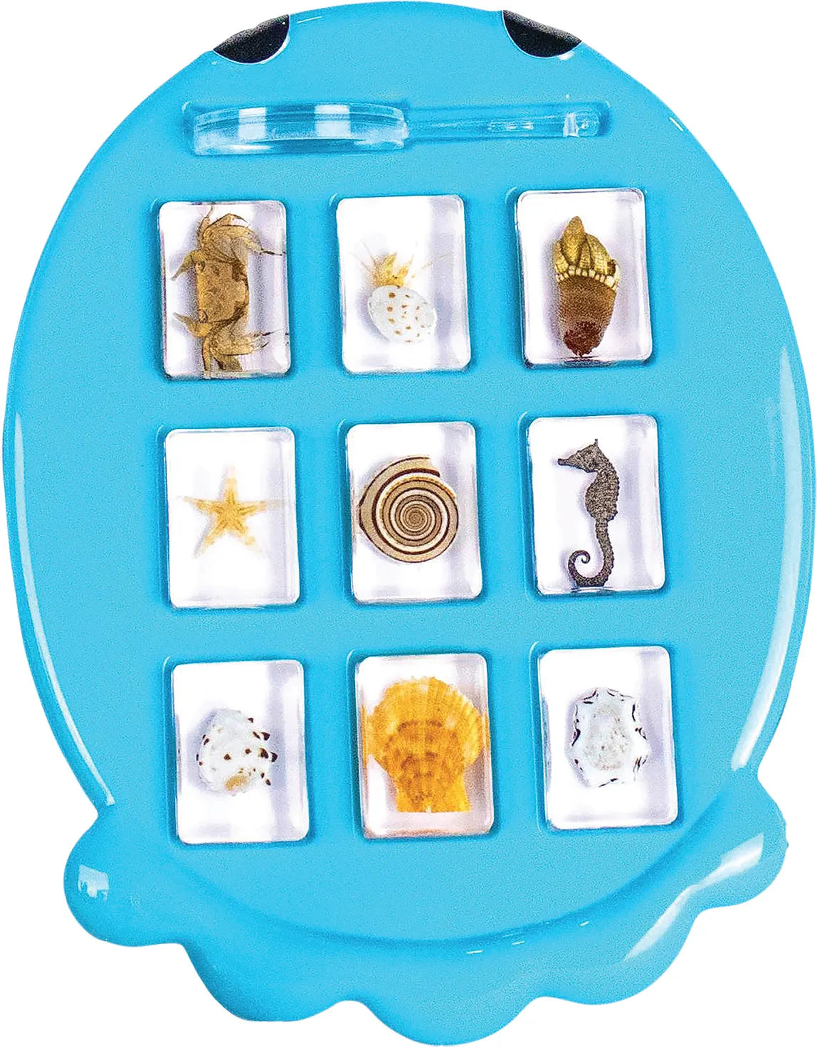 Ocean Fun Discovery Kit