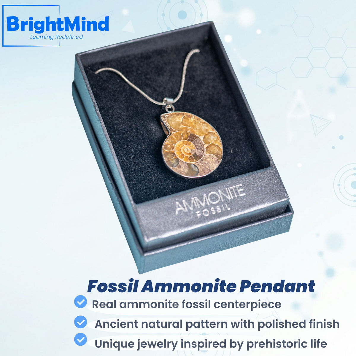Fossil Ammonite Pendant