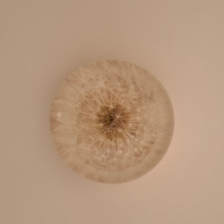 Dandelion Crystal Ball