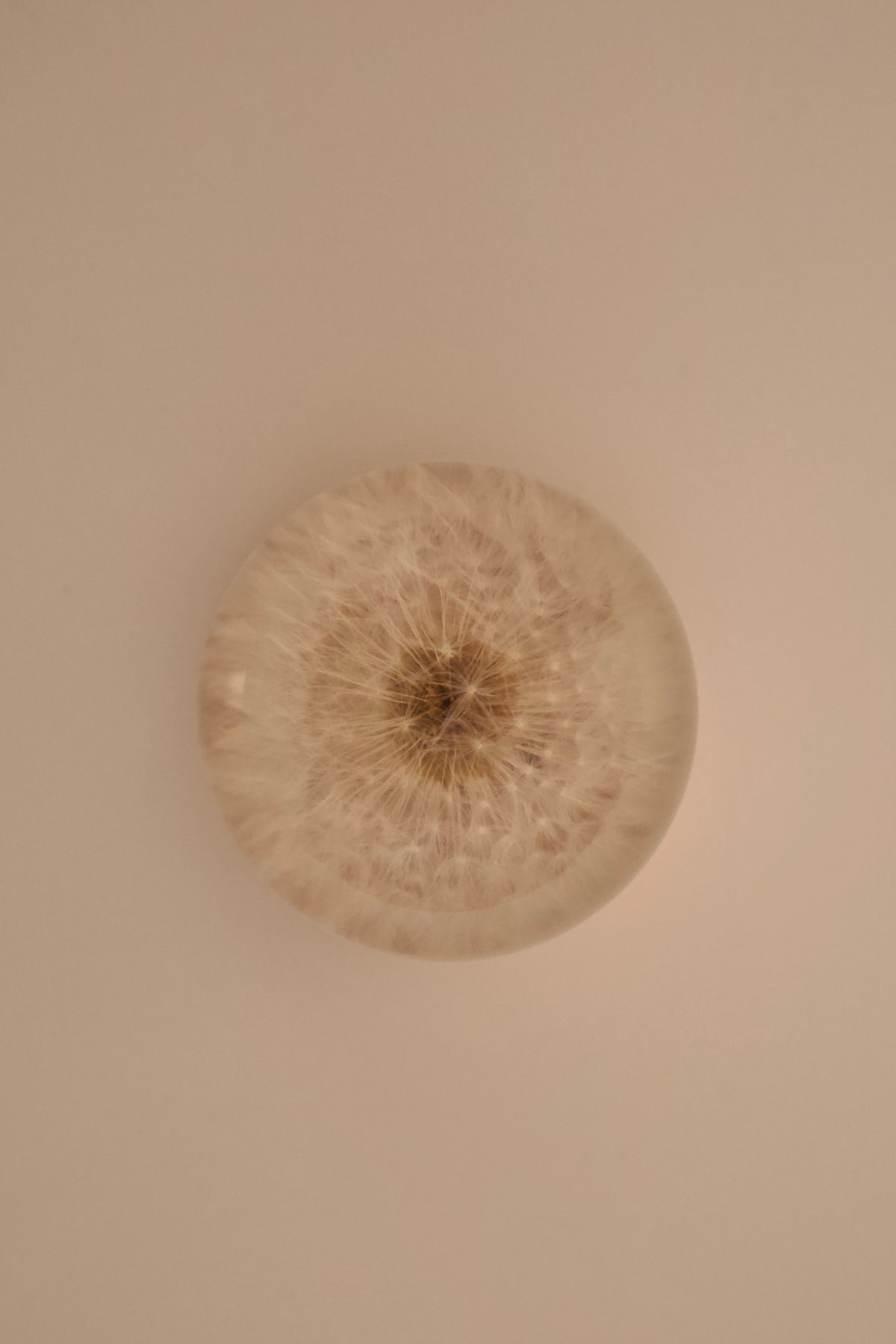 Dandelion Crystal Ball