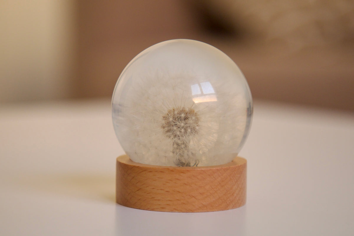 Dandelion Crystal Ball
