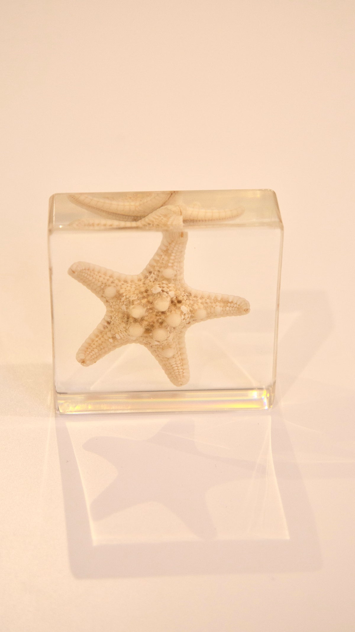 Starfish